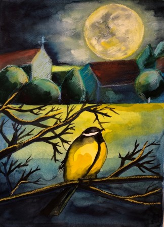 Zpívající vesmír